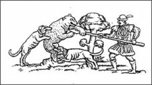Kopo_cikk_02