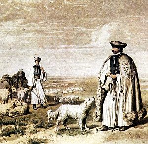Móricz Zsigmond:Barbárok